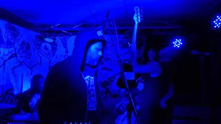 Wasteland (live from tiny Garaget in Avesta, 2019)