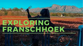 Franschhoek wine estates | Backsberg, Babylonstoren & Vrede en Lust, South Africa travel vlog