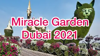 DUBAI MIRACLE GARDEN  | World’s Largest Flower Garden