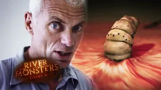 The Invisible Killers | River Monsters