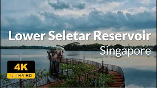 4K UHD Walking Tour - Lower Seletar Reservoir Park