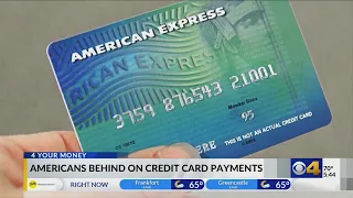 Americans falling behind on credit cards