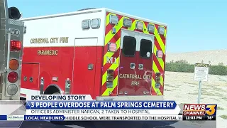 Three people overdose at Palm Springs Cemetery