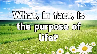 What is the Purpose of Life