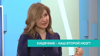 Счастливый час Кишечник наш второй мозг ?