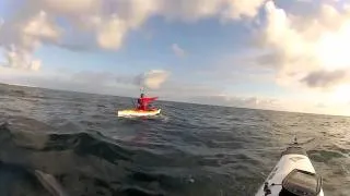 Marlin And Mahi Mahi off a Kayak - Gold Coast