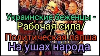 Украинские беженцы -РАБОЧАЯ СИЛА/Политическая ЛАПША на ушах народа#жизнь в испании#война в украине#