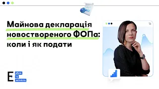 Майнова декларація новоствореного ФОПа: коли і як подати | 25.04.2024