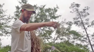 Building Soil Humus by Planting a No-Till Cover Crop by Hand (Backyard Regenerative Agriculture)