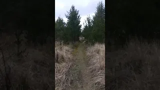 Mountain Biking Along The Trails Of SW Washington State Lars Ole Mortensen Video Productions Part I