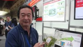 Fujitsu Lettuce produced in semiconductor factory clean-room