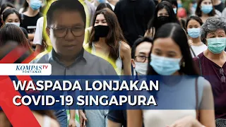 Waspada Covid-19 Lagi! Singapura Laporkan Lonjakan Kasus, Apa Langkah Pemerintah Indonesia?