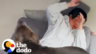 Grandma Was Afraid Of Dogs Until... ❤️ | The Dodo