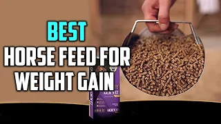 Best Horse Feed for Weight Gain in 2022 - Top 6 Review | Breed Recommendation All Breed Sizes