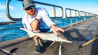 Using a Halco Lure at the Jetty for Multispecies