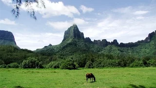 21. 18.02.2003 Moorea - Franz. Polynesien.