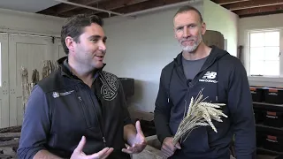 Early farming at Te Waimate