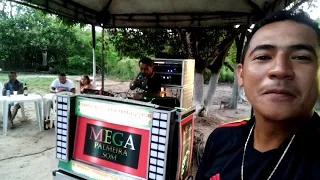 MEGA PALMEIRA SOM🎥🇧🇷 COM DJ MANHOSO