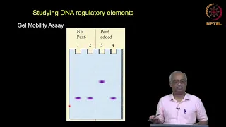 Differential gene expression (Part 2 of 4)