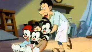 Picasso in Animaniacs