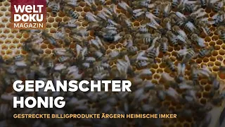 GEPANSCHTER HONIG! Die wertvolle Arbeit der Imker für reinen Honig und beste Qualität