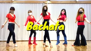 Bachata line dance / Beginner / 바차타 초급 라인댄스