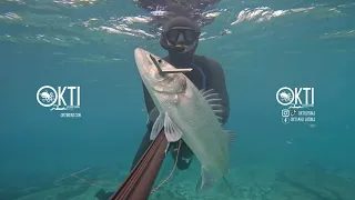 OKTI Spearfishing Tips&Tricks - Part 1