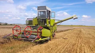 Вирощування озимої пшениці,сезон 2018.CLAAS Consul на збиранні урожаю,врожайність 72ц/га.