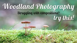 Struggling with woodland compositions? use a telephoto lens