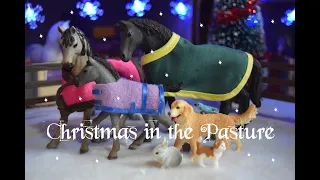 Christmas in the Pasture - Schleich Horse Short Film