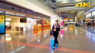 Haneda International Airport: Terminal 1 Walking Tour - Tokyo Japan 2024・4K