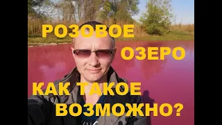 Розовое озеро в Самарской области. Загадочное и не обьяснимое.