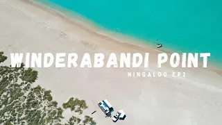 Ningaloo's Hidden Gem: Winderabandi Point - Insane Fishing & Beachfront Camping | Ep 2