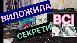 Селера коренева !! У Вас вийде !!!