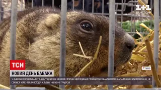 Бабаки Марічка та Мишко несподівано прокинулися на місяць раніше | ТСН 19:30