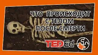 🔶 Что происходит с нашими телами после смерти? [TED-Ed на русском]