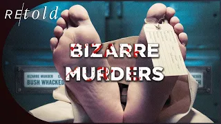 Dumb Luck | Bizarre Murders | Retold
