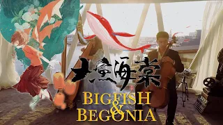 Big Fish & Begonia Theme Song | Zhou Shen (周深) - Big Fish (大鱼）| Cello Cover