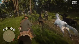 RDR2 STORY: GETTING RARE TURKOMAN FOR FREE