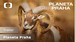 Planeta Praha | Trailer