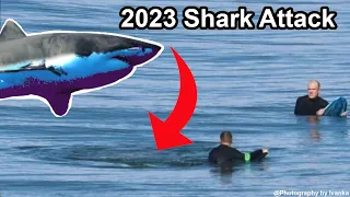 Great White Shark takes Surfers Leg. Toby Begg 2023 Shark Attack