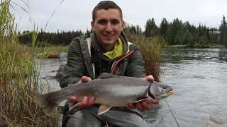 Kenai River Dolly Varden