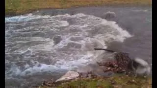 Booze Creek After a Rain Storm