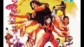 Воин кунг-фу  (боевые искусства 1980 год)