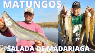 DELPESCADORTV408. MATUNGOS EN MADARIAGA