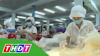 Đồng Tháp: Thu hút 6.000 tỷ đồng vốn đầu tư dự án FDI | THDT