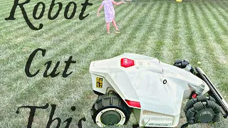 Only problem I found with the LUBA Robot Lawnmower