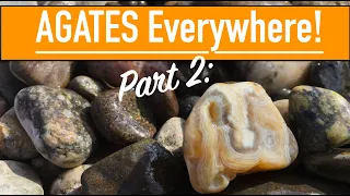 I Found a RARE AGATE while Treasure Hunting the Yellowstone River (Part 2) | Rockhounding #Withme