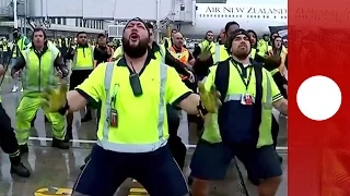 NZ airport staff perform Haka for victorious All Blacks