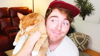 Shane Dawson Denies Disturbing Claim About Cat